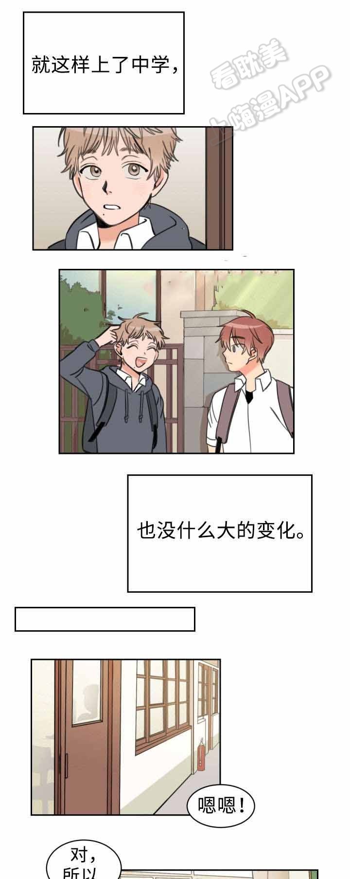 白月光他马甲掉了笔趣阁漫画,第13话3图