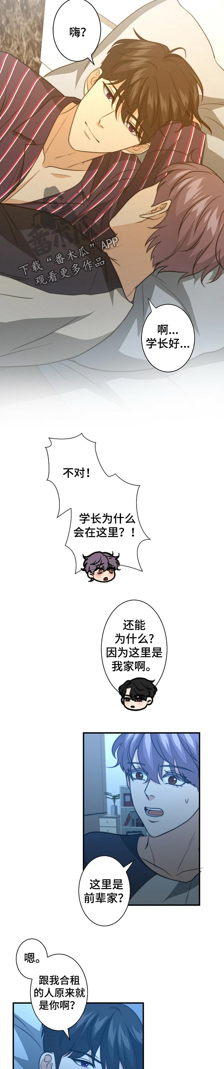 惊喜配对漫画,第50章：都是陷阱2图