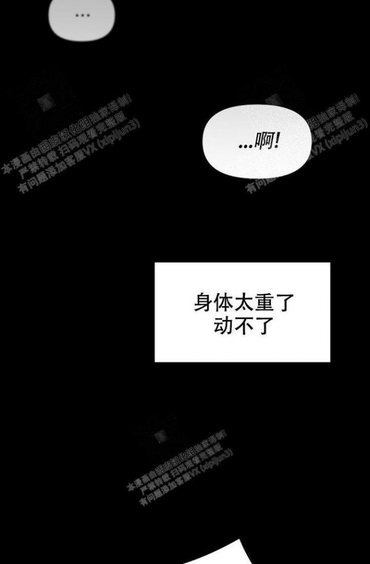 真正的罗汉鱼价格是多少漫画,第12话3图