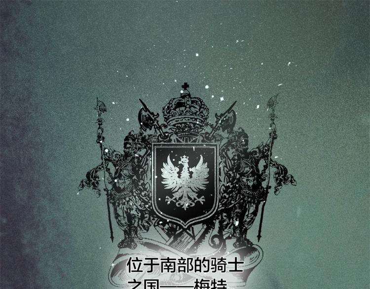 金发精灵师之天才的烦恼还更新吗漫画,第2话 好清秀的小哥哥4图