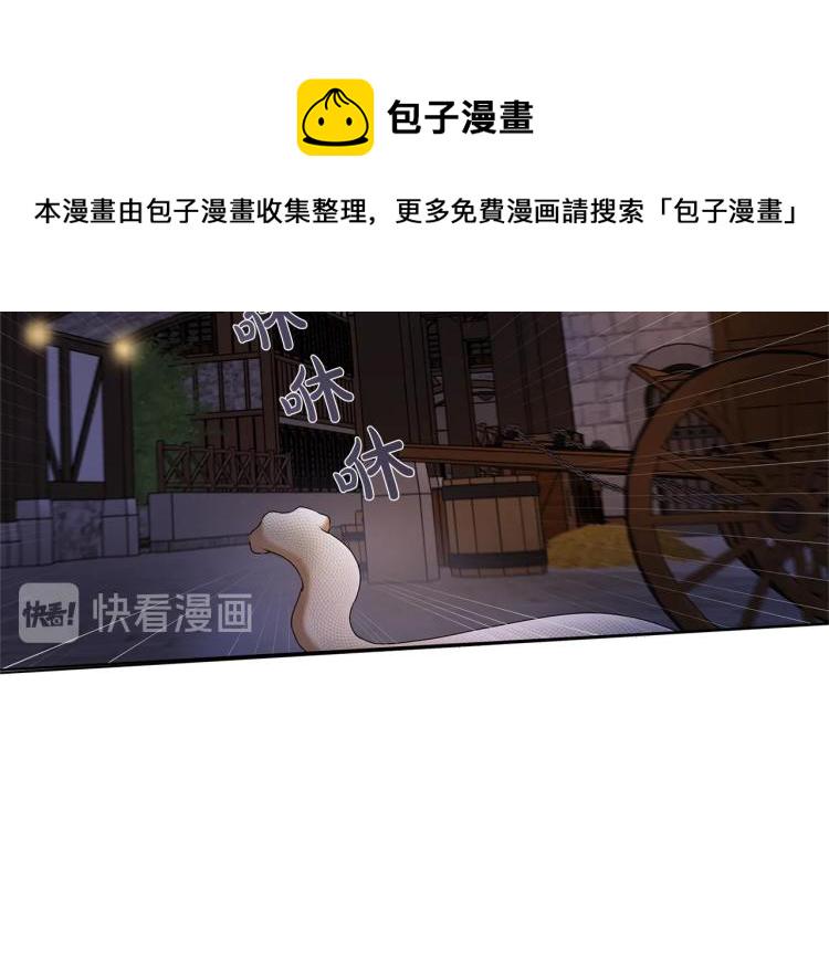金发精灵师之天才的烦恼第二季免费漫画,第62话 粉丝遍地3图
