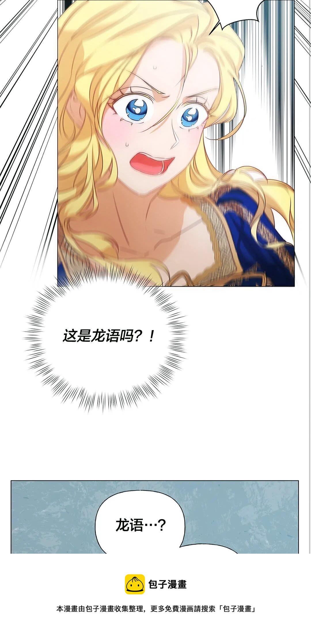 金发精灵师之天才的烦恼还更新吗漫画,第二季 开启篇 龙的宠物5图