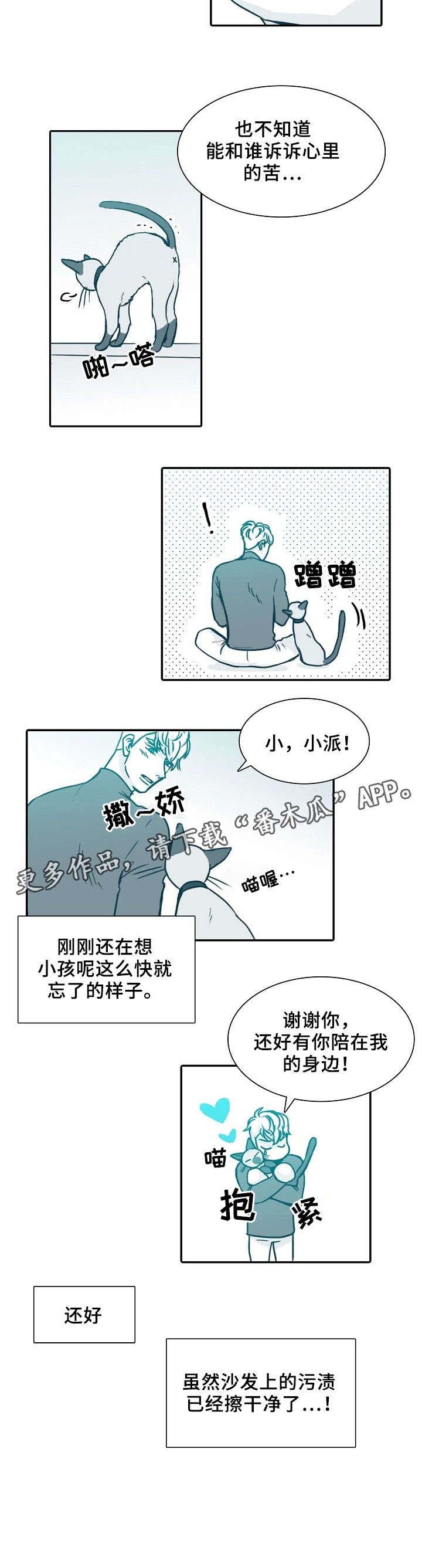 公安三十天立案不立案的期限漫画,第63章：抱歉5图