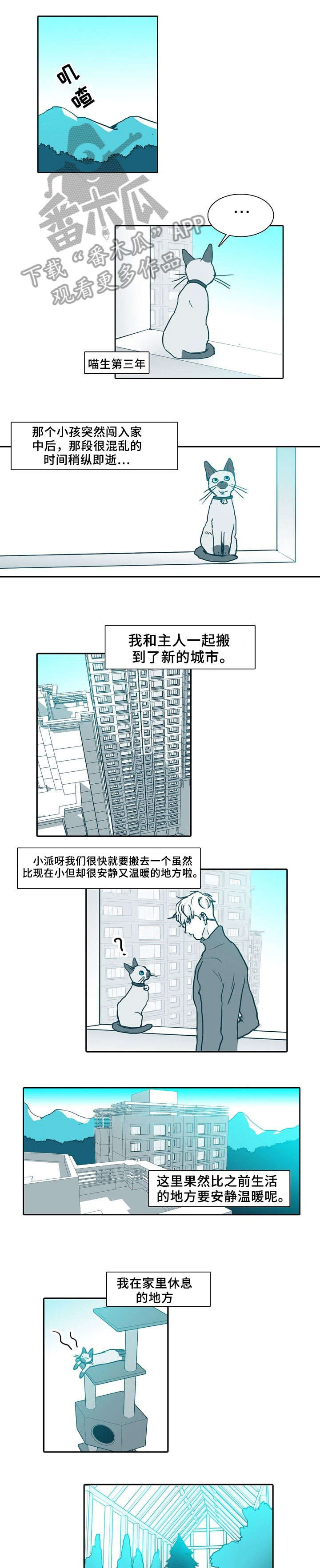 期限三年合同一年一签漫画,第61章：做饭3图