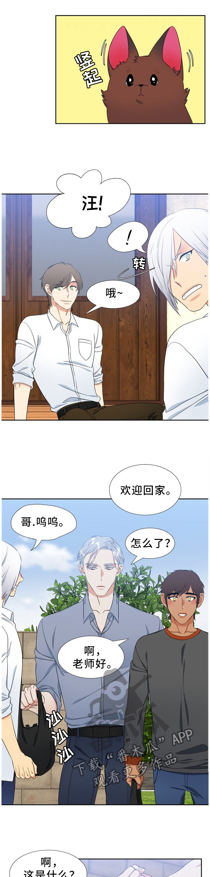 候鸟迁徙的原因漫画,第232章：【第二季】我的幸福需要你1图