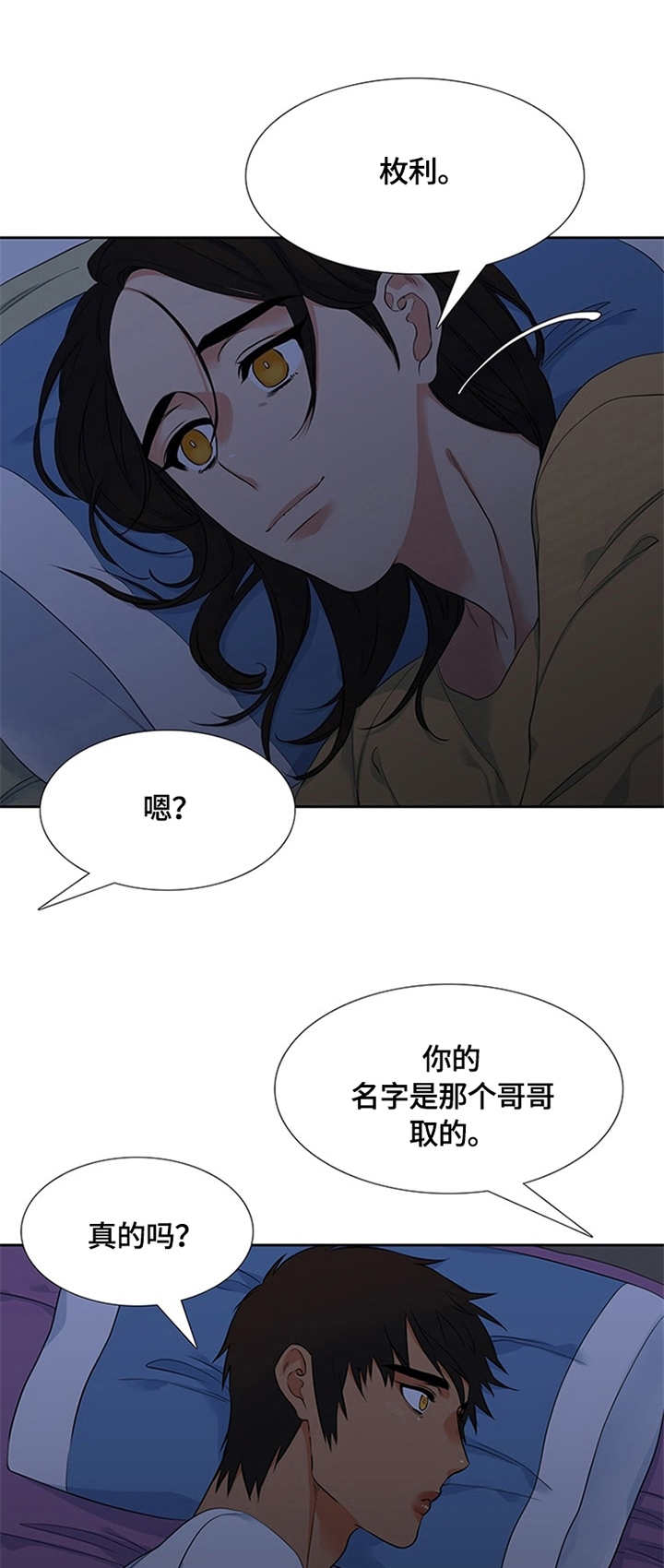 候鸟迁徙路线图下载漫画,第8章：名字1图