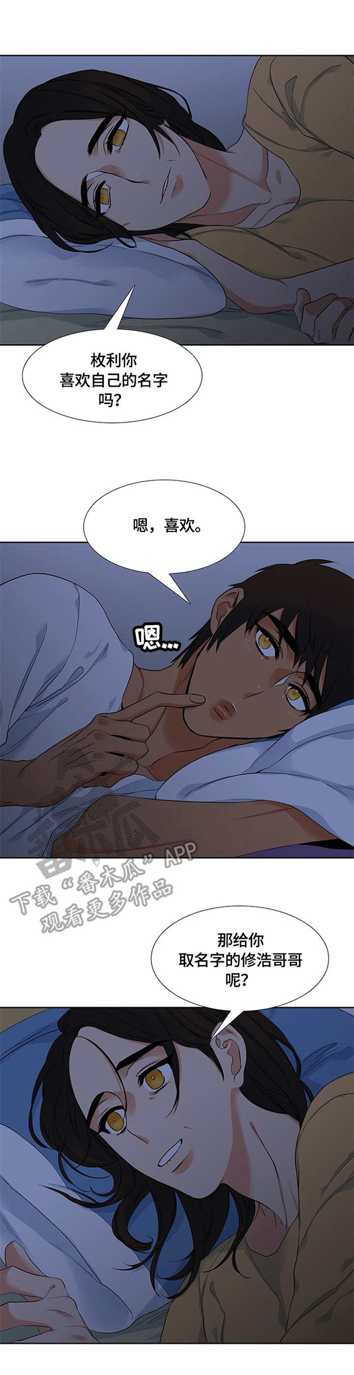 候鸟迁徙路线图下载漫画,第8章：名字4图