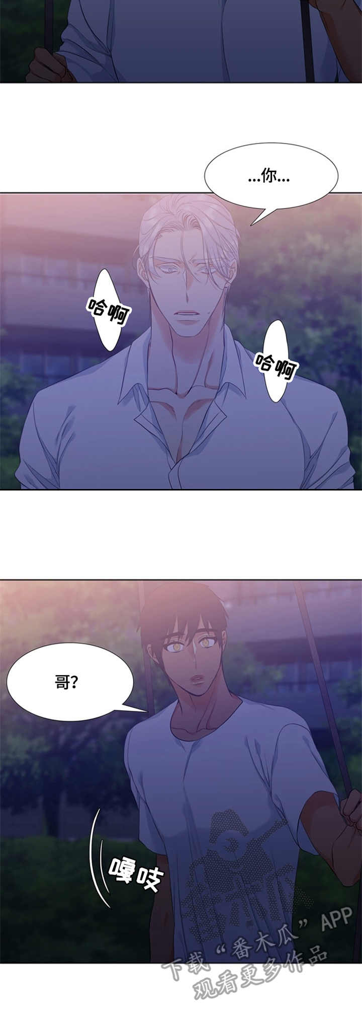 候鸟家庭是什么意思漫画,第26章：看望2图