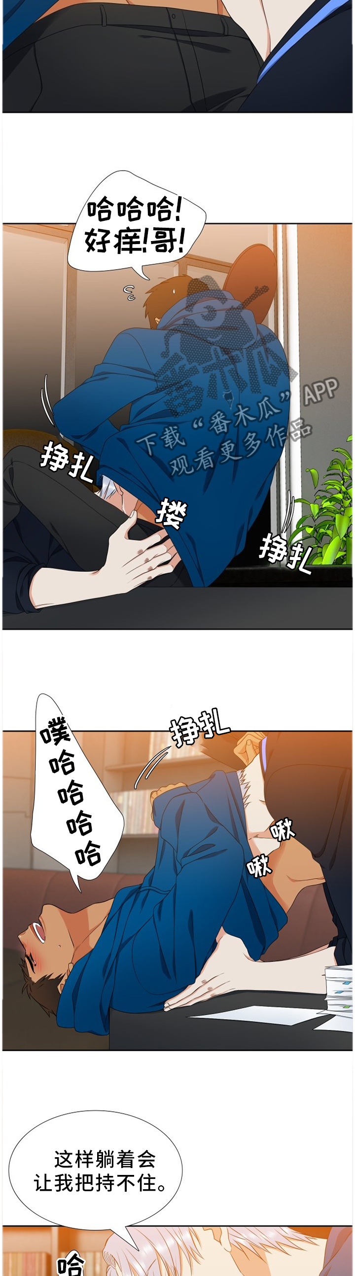 候鸟来 观鸟去漫画,第240章：【第二季】工作2图