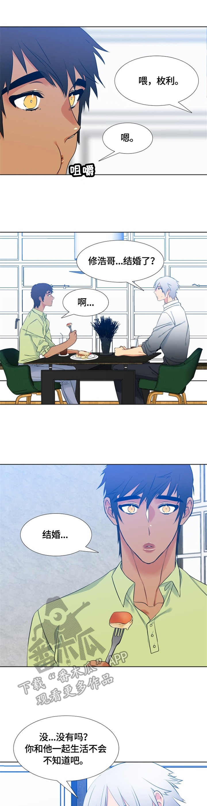 候鸟保护工作总结范文漫画,第33章：奔溃4图