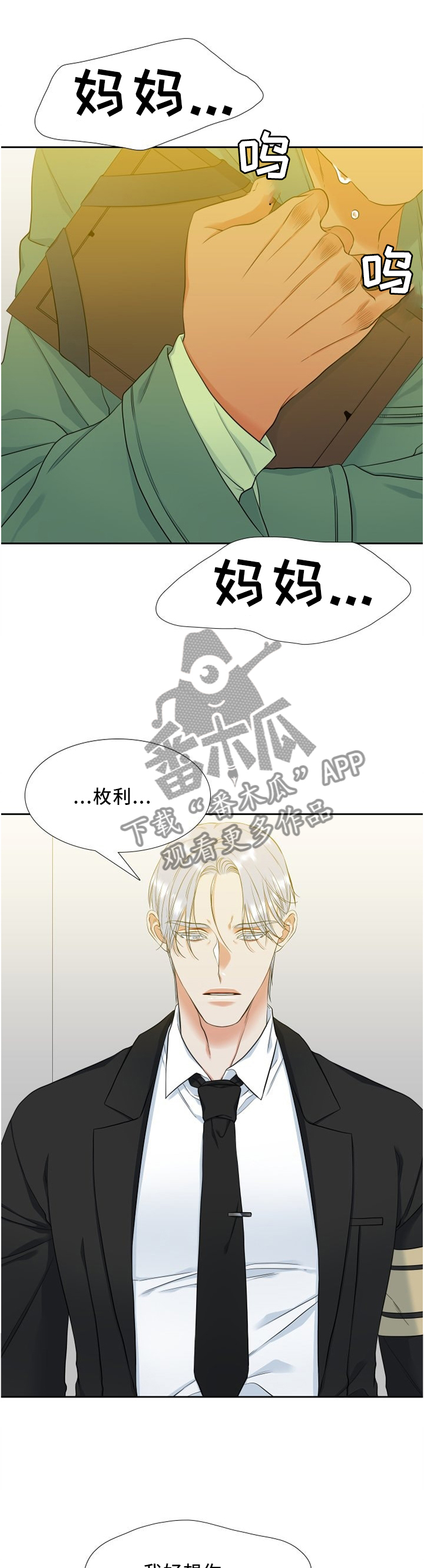 候鸟供应链官网漫画,第95章：责怪1图
