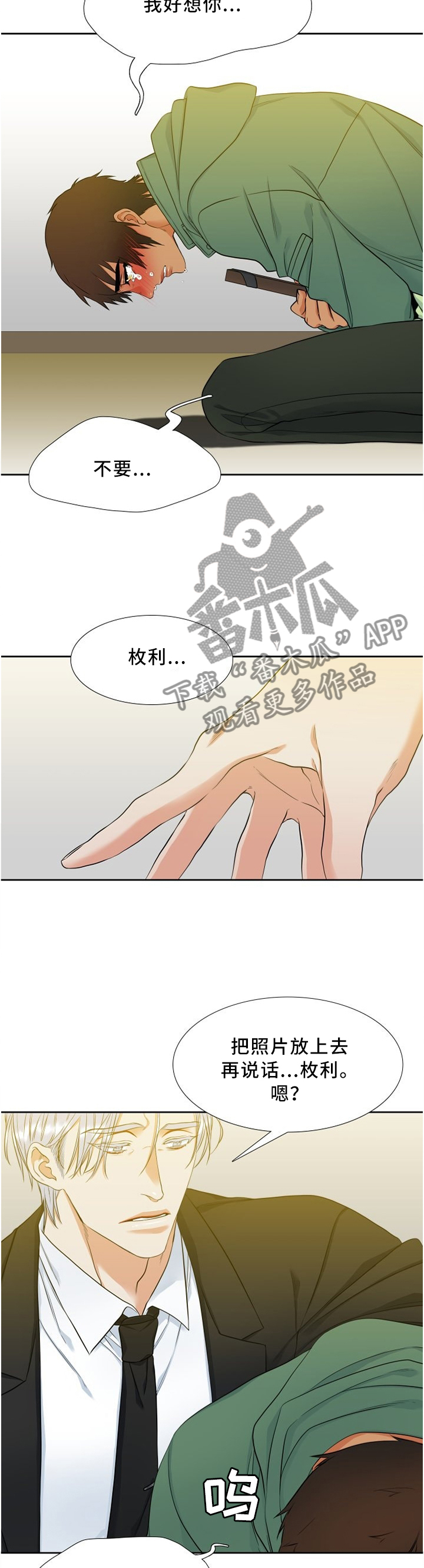 候鸟供应链官网漫画,第95章：责怪2图