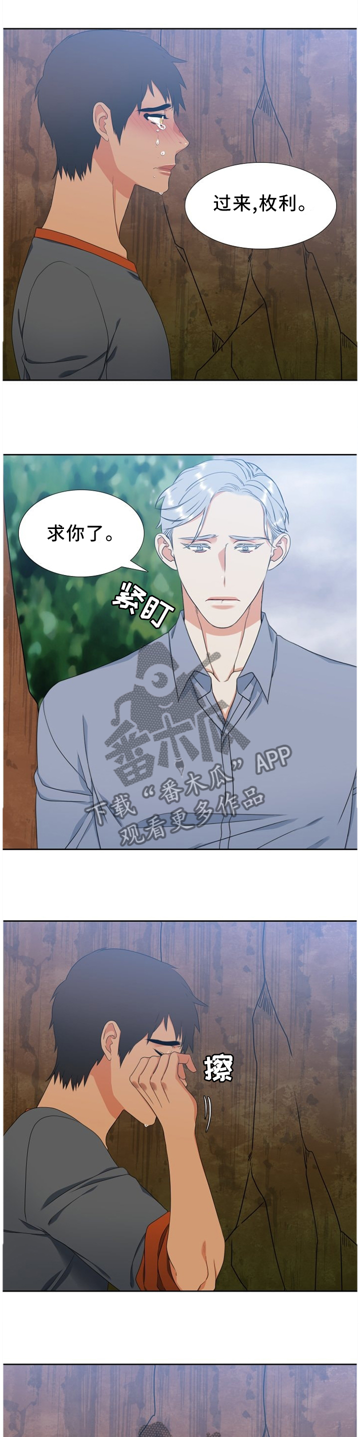 候鸟原唱漫画,第231章：【第二季】我爱你1图