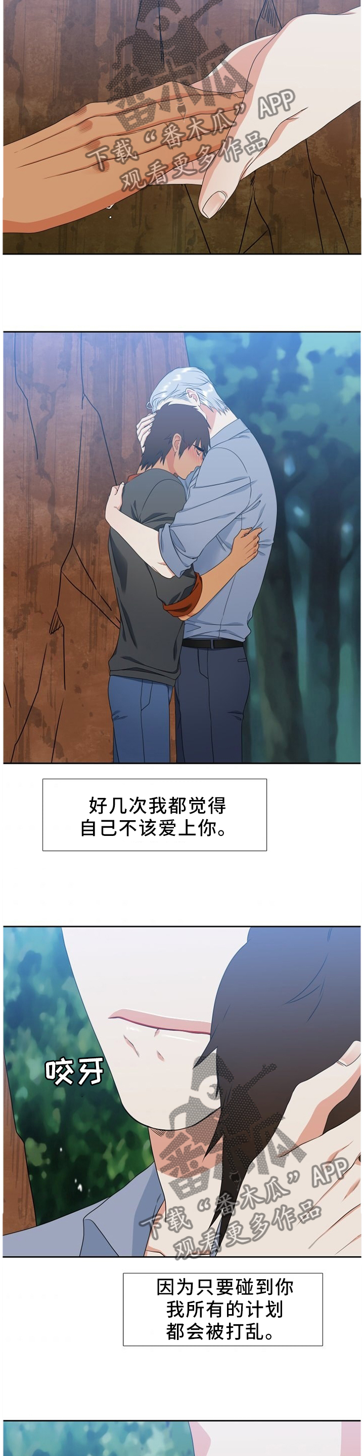候鸟原唱漫画,第231章：【第二季】我爱你2图