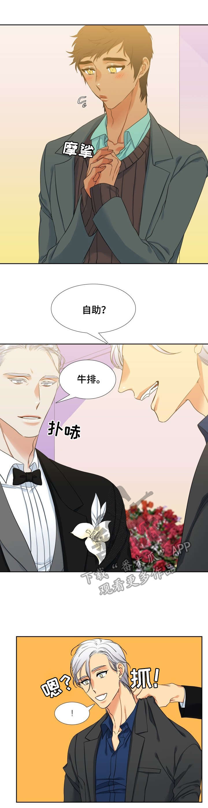 候鸟迁徙是先天性还是后天性漫画,第52章：婚礼1图