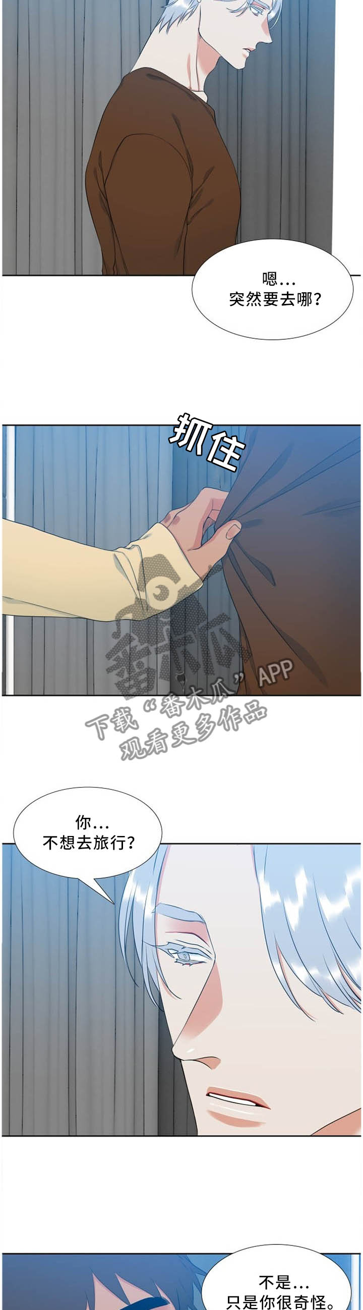 候鸟养老漫画,第178章：保护期2图
