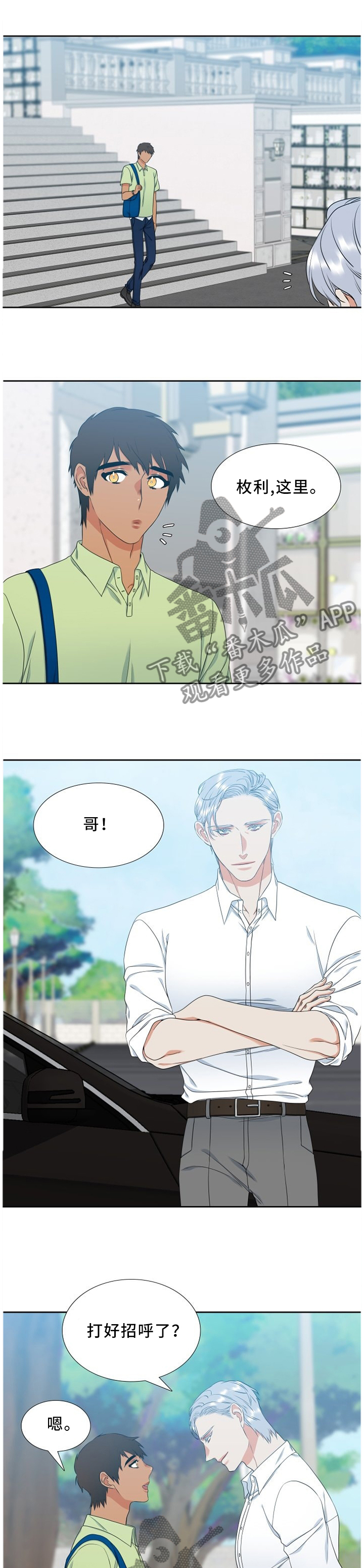 候鸟指的是什么鸟漫画,第242章：【第二季】效果显著1图