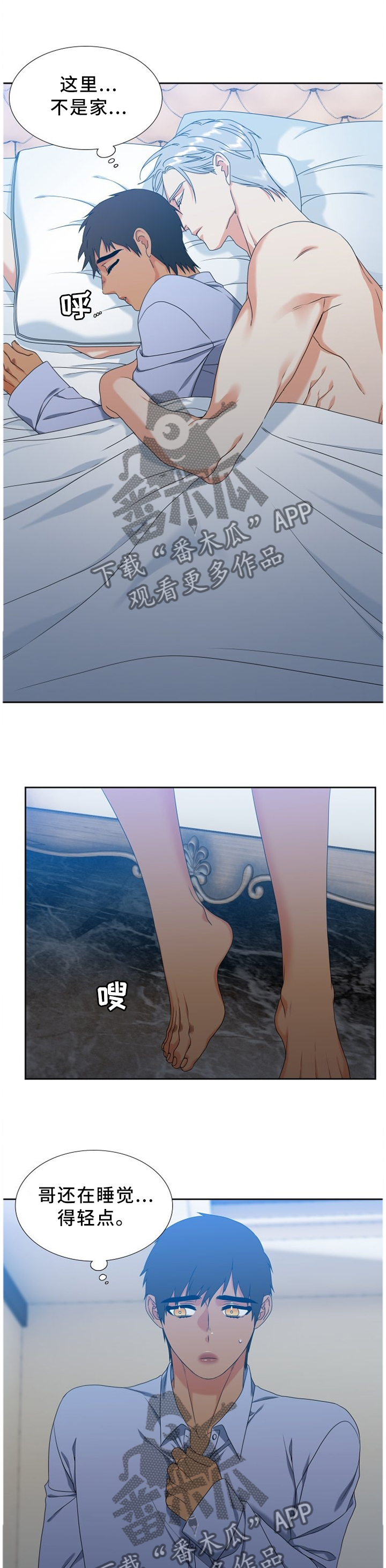 候鸟迁徙时间漫画,第251章：【第二季】探病2图