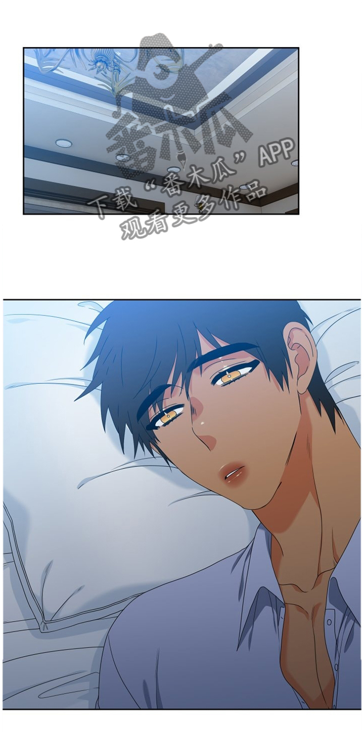 候鸟迁徙时间漫画,第251章：【第二季】探病1图