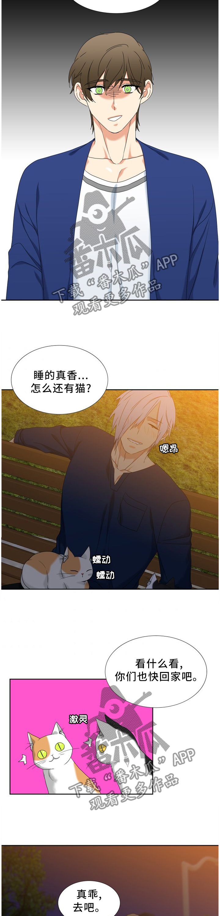 候鸟的勇敢迟子建在线阅读漫画,第256章：【第二季】做什么才是最重要的2图