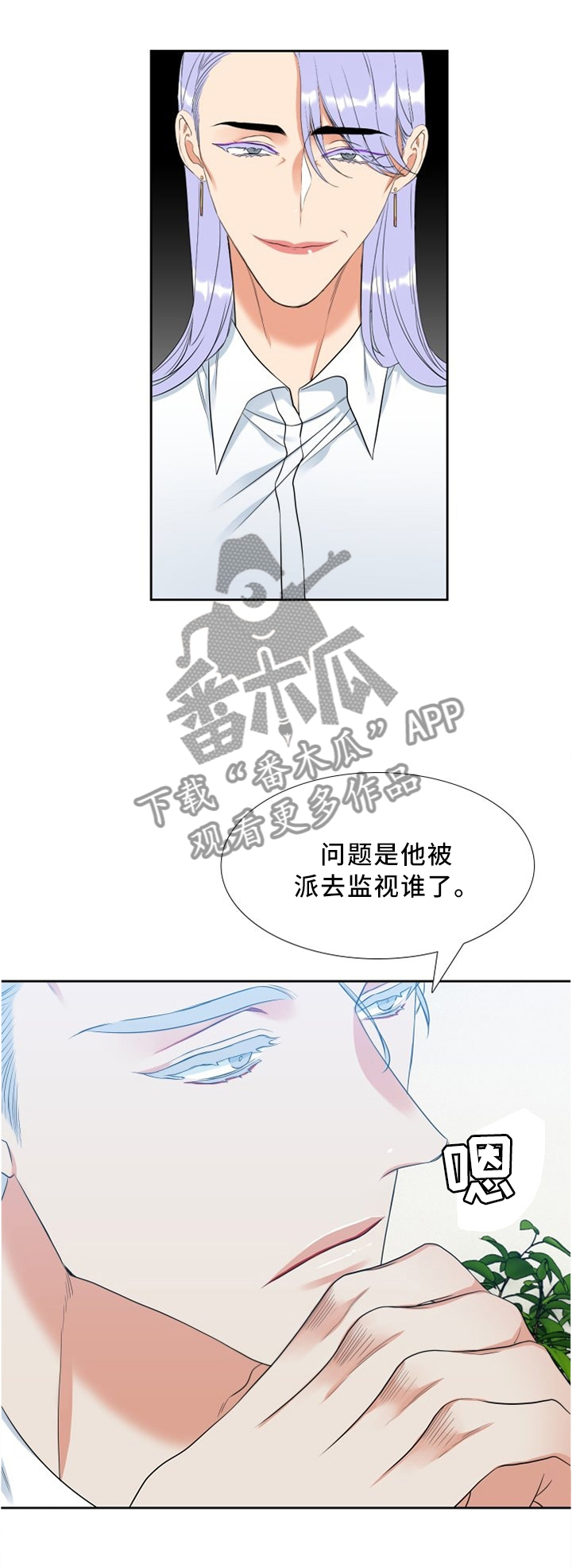候鸟鸟的故事人民日报漫画,第124章：你怎么认识的1图
