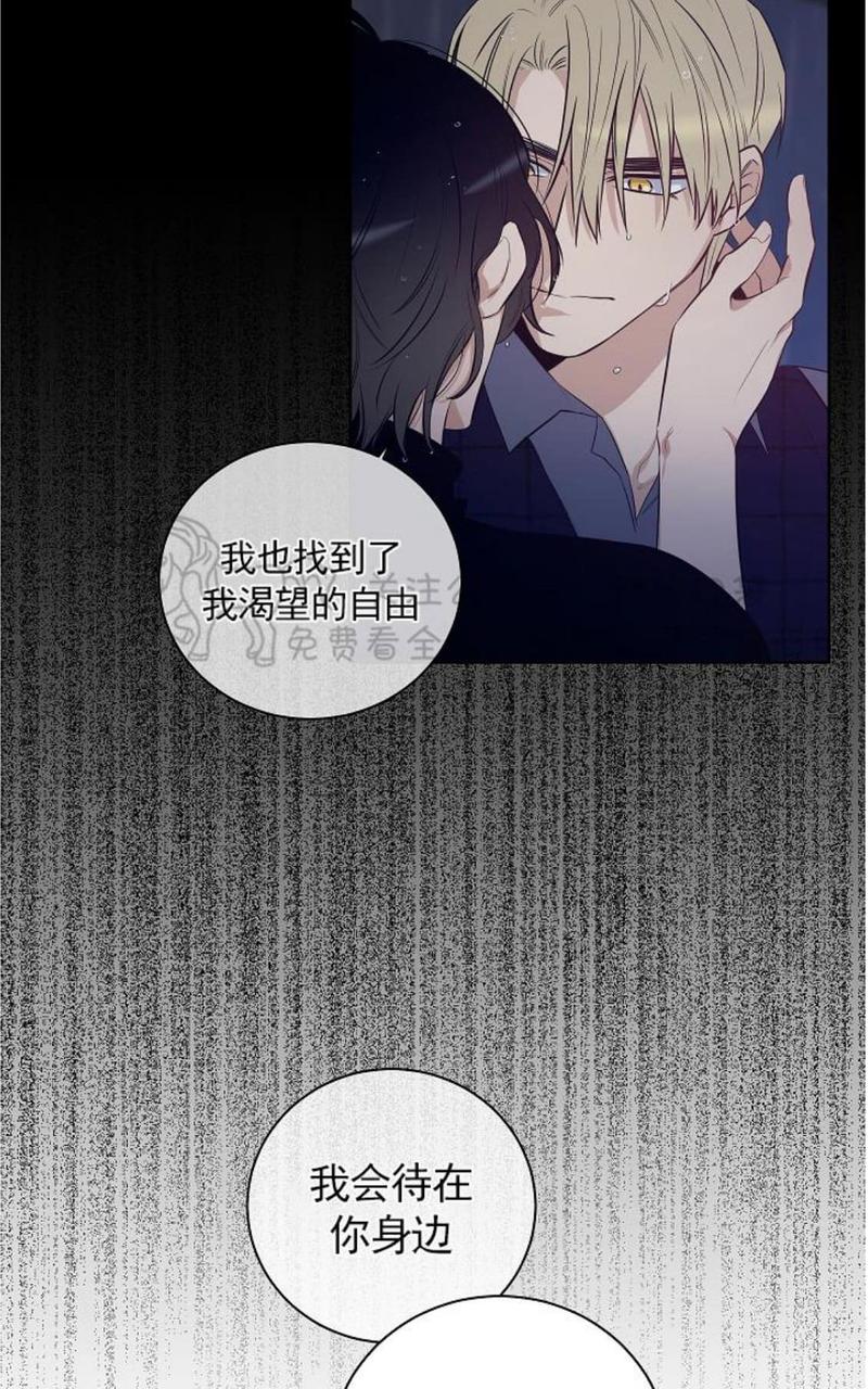 trapcode suite教程漫画,第34话完结2图