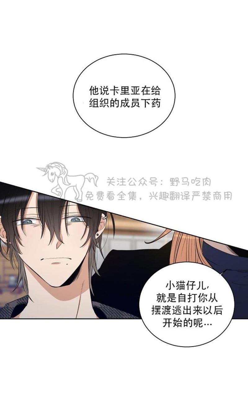 trapcode插件经典版本漫画,第21话1图