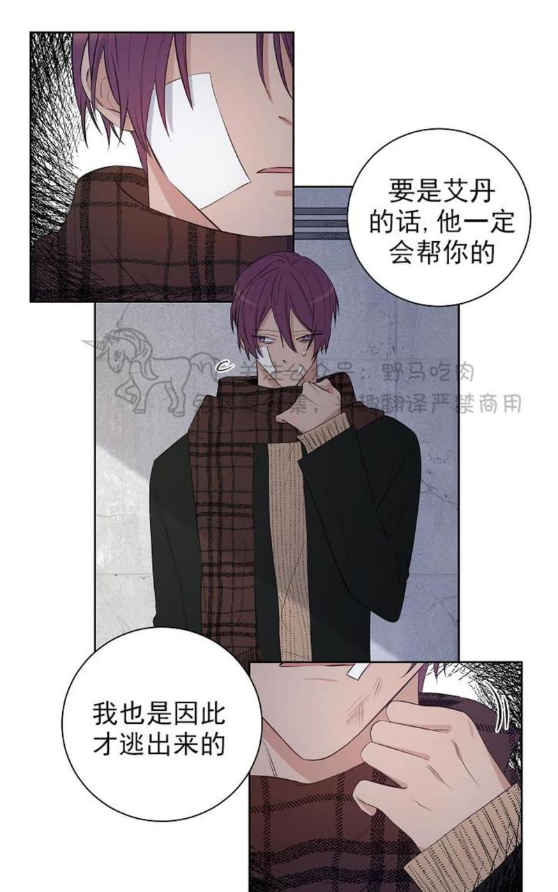 trapcode哪个版本好漫画,第24话5图