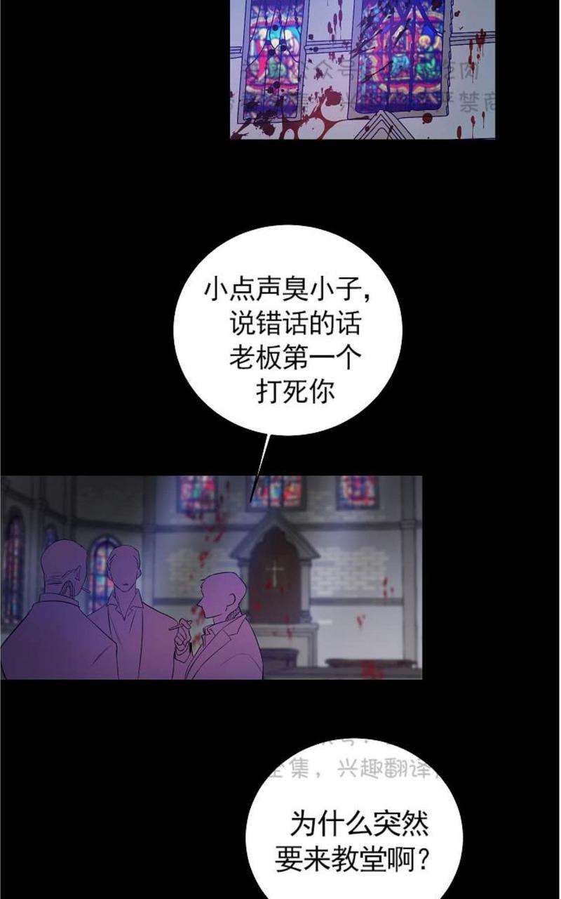 trapcode哪个版本好漫画,第29话2图