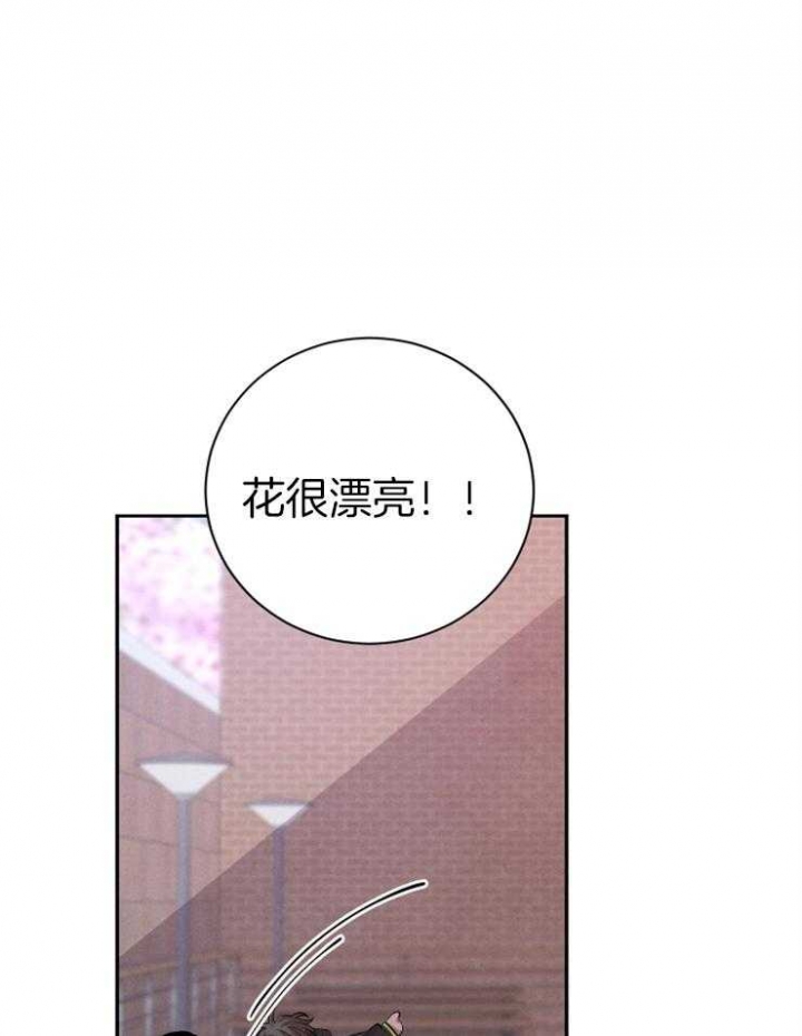 珊瑚图片漫画,第43话2图