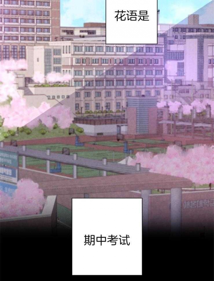 珊瑚石图片大全大图漫画,第42话3图