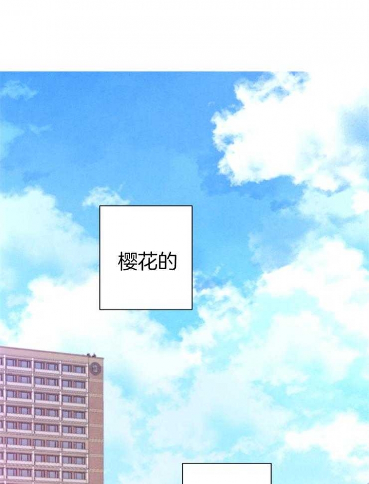 珊瑚石图片大全大图漫画,第42话2图
