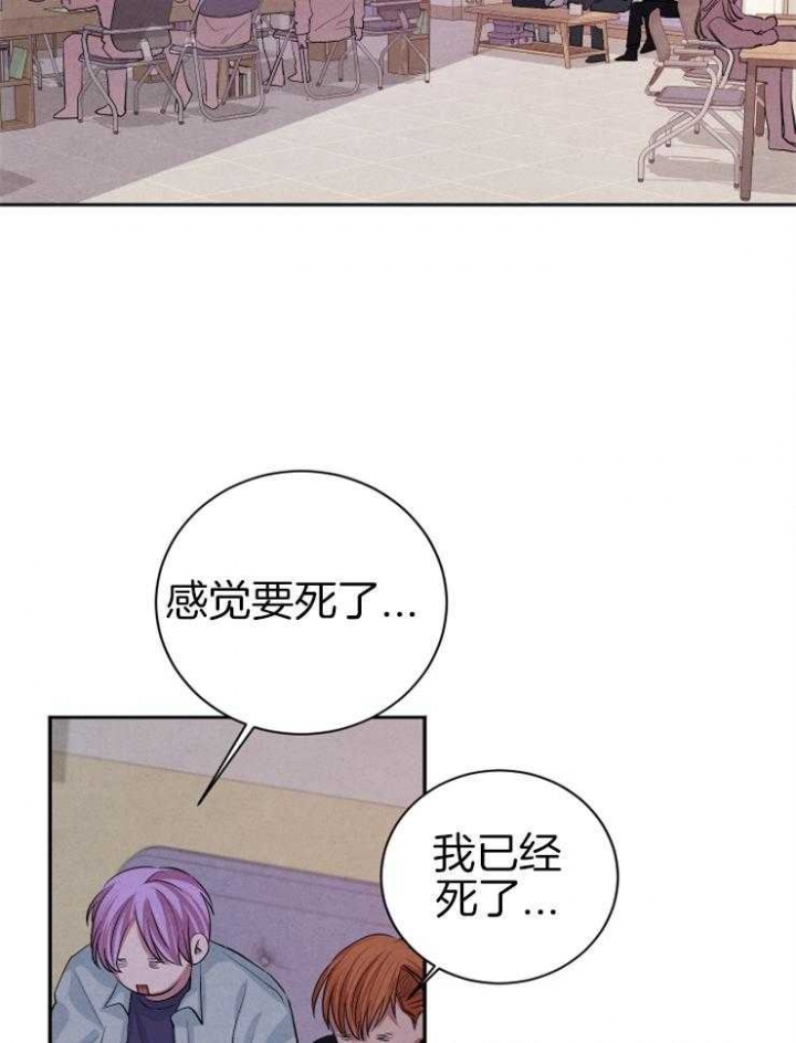 珊瑚石图片大全大图漫画,第42话5图