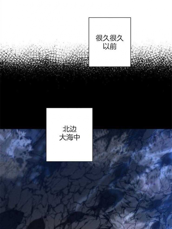 珊瑚是活的还是死的漫画,第54话3图