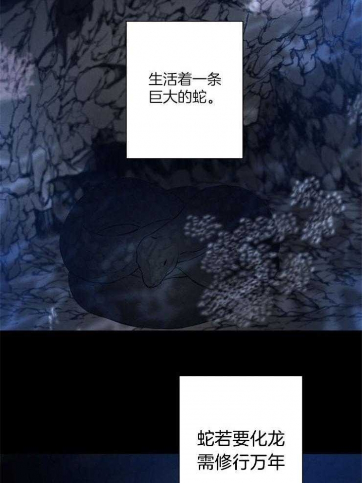 珊瑚是活的还是死的漫画,第54话4图