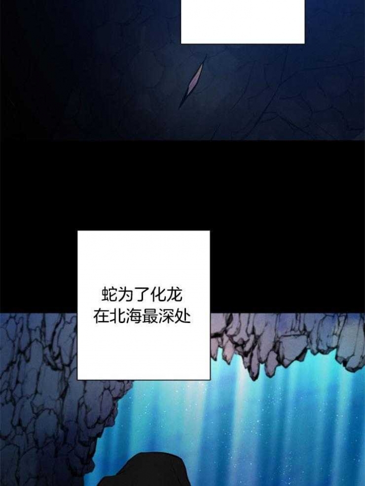 珊瑚是活的还是死的漫画,第54话5图