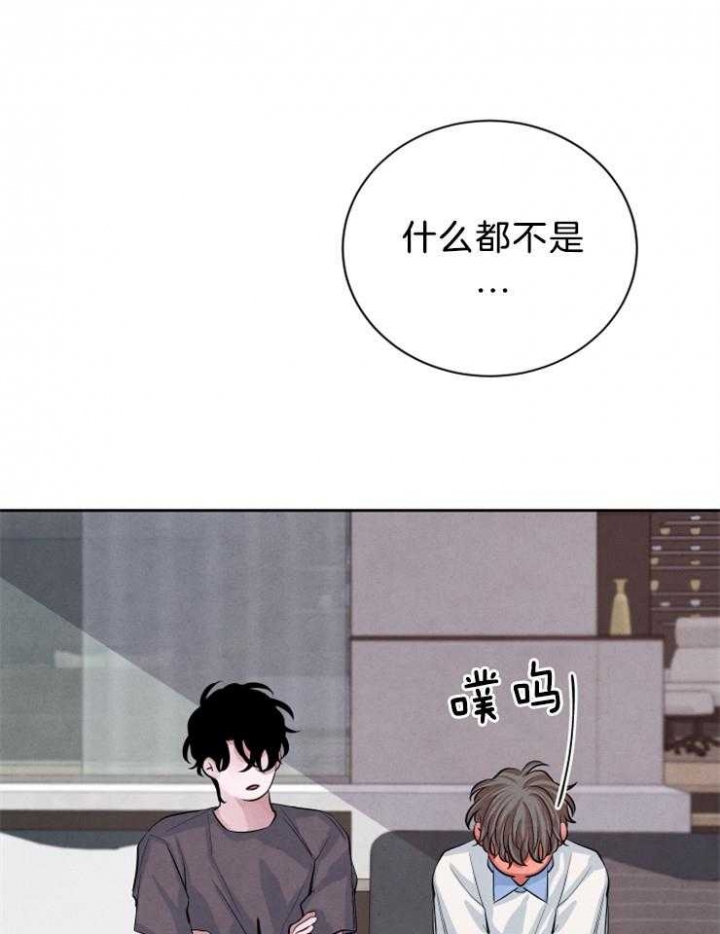 珊瑚是动物还是植物它和珊瑚虫啥关系漫画,第26话3图