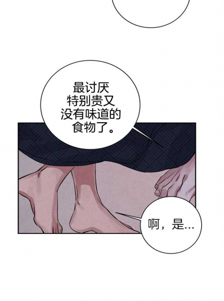 珊瑚是腔肠动物吗漫画,第36话5图