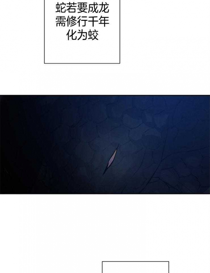 珊瑚鸟母鸟的叫声漫画,第37话3图