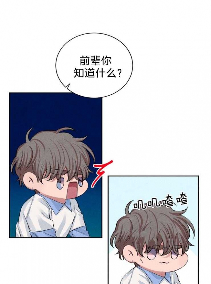 珊瑚鸟叫声漫画,第25话4图