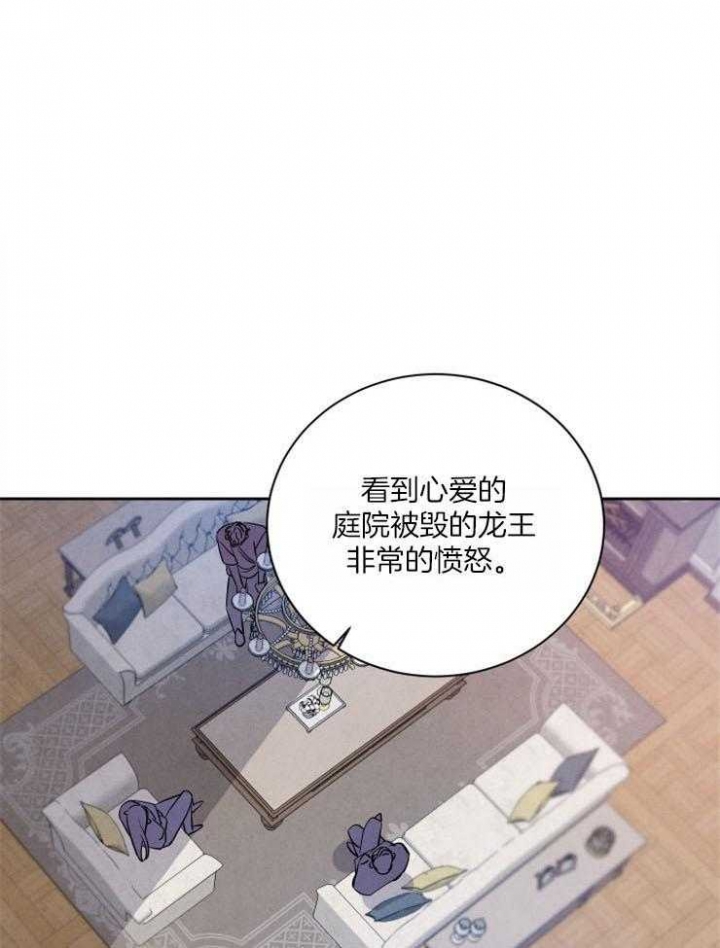 珊瑚鸟饲料漫画,第56话1图
