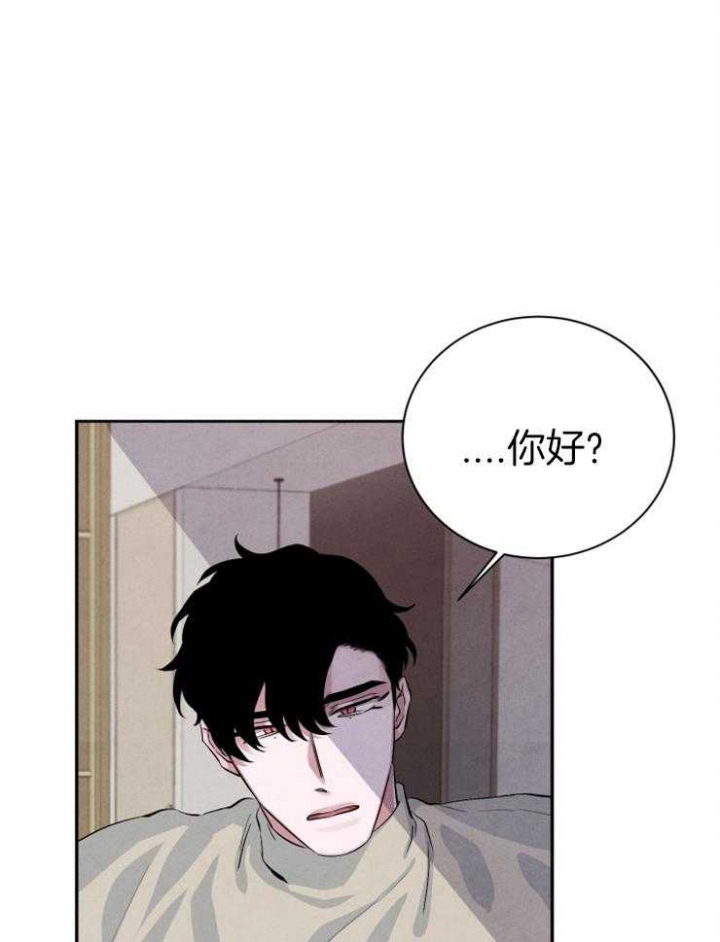 珊瑚食肉动物漫画,第33话5图