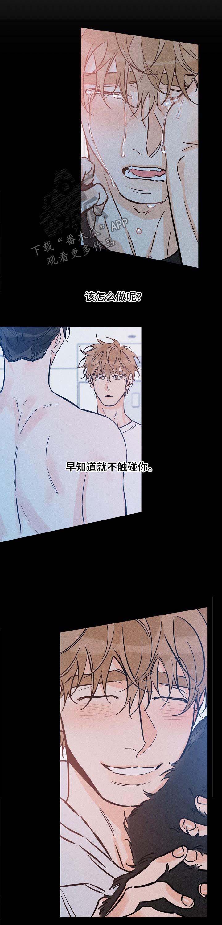 最棒的礼物绘本简介漫画,第82章：关系不明3图