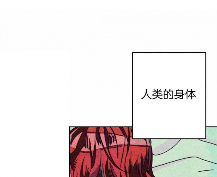 轻易拯救法神漫画,第33话1图