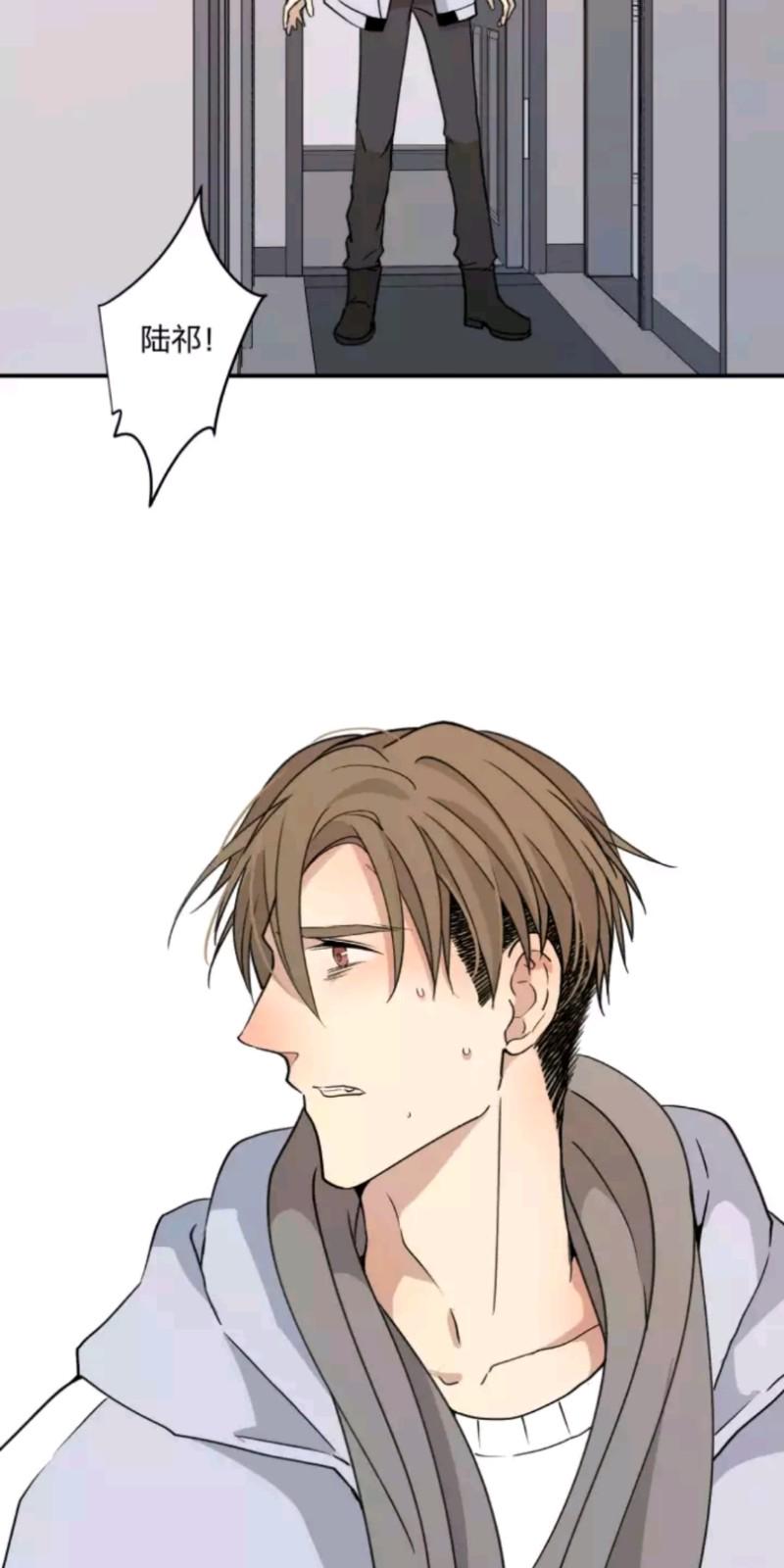 心之茧免费在线阅读漫画,第51话4图