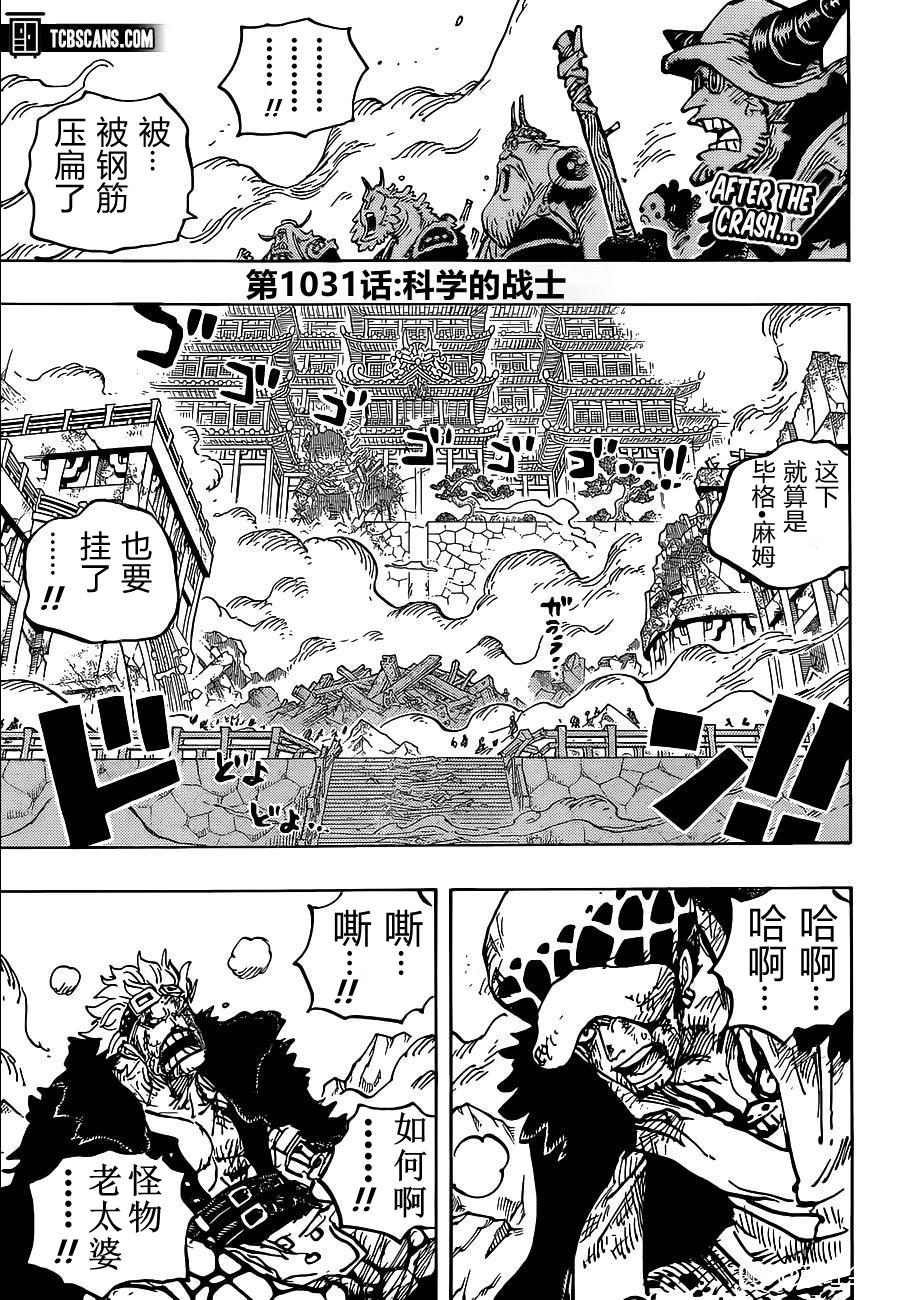 海贼王动漫在线观看完整版免费高清漫画,第1031话3图