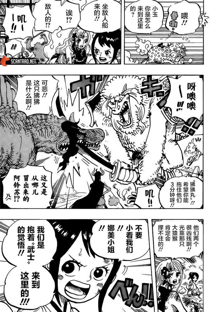 海贼王动漫全集在线观看免费版漫画,第996话最强者栖息之岛4图