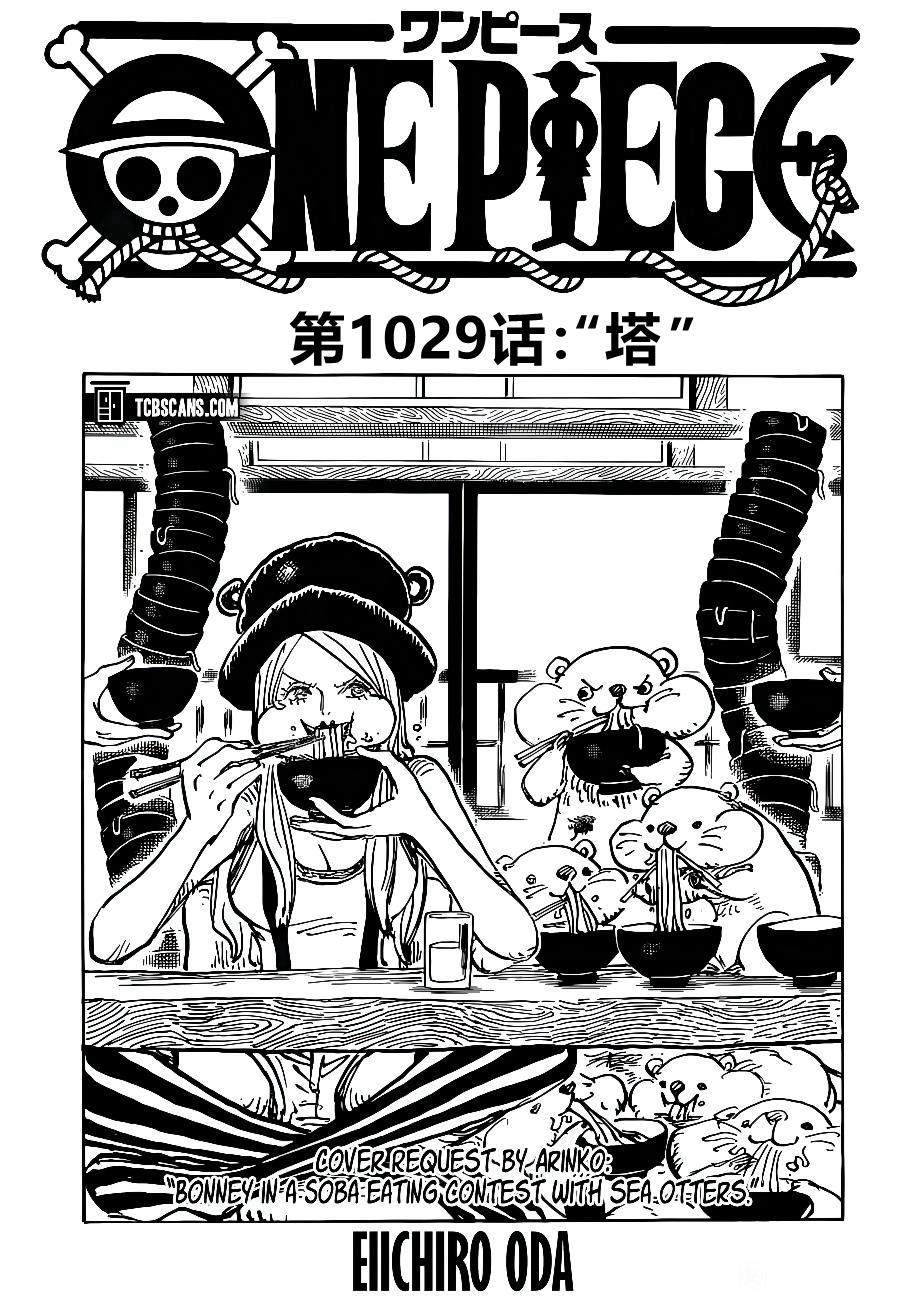 海贼王漫画风之动漫漫画,第1029话塔1图