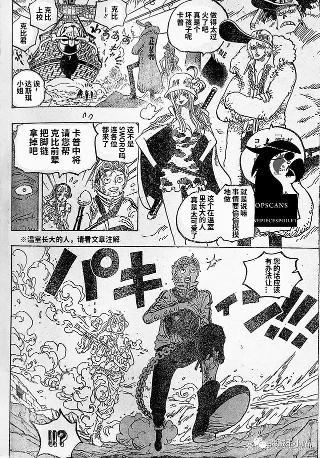 海贼王高燃混剪漫画,第1081话 试看版5图