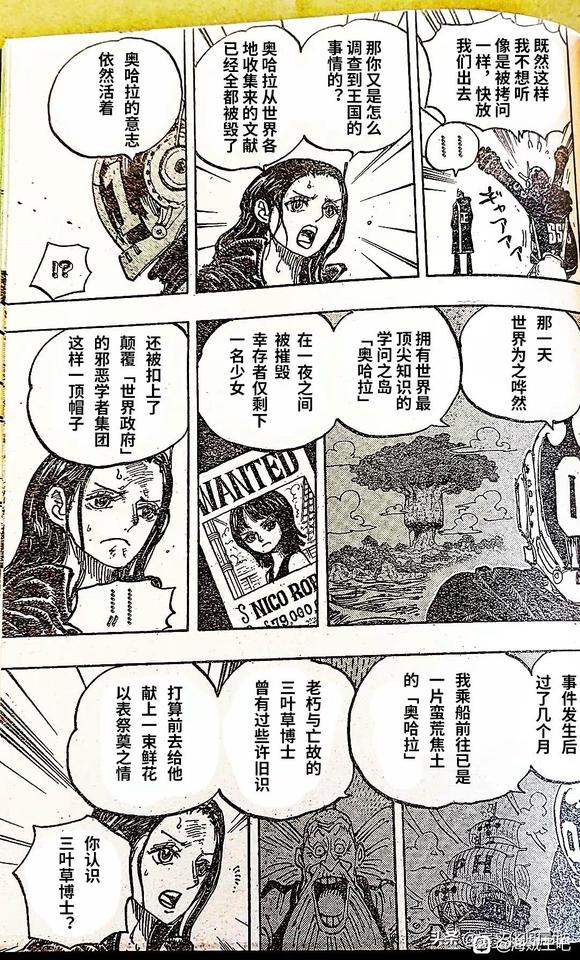 海贼王完结了吗漫画,第1066话 试看版5图